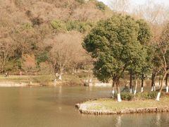 -绍兴镜湖国家城市湿地公园