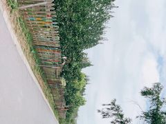 -前小桔亲子创意农场·草莓采摘·露营烧烤
