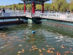 -长春市南湖公园