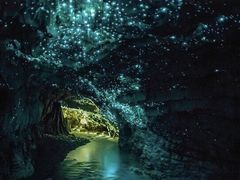 -怀托摩萤火虫洞