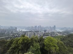 -大金鹰园