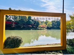 -青枫公园