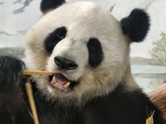 -南宁市动物园