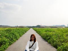 -光明小镇欢乐田园