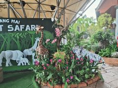 -清迈夜间动物园