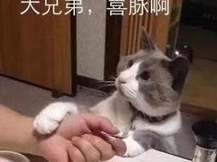 -贝勒爷·酥不腻烤鸭