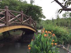 -贵阳市花溪国家城市湿地公园