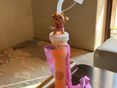 -童趣廊·儿童波波池·海洋球(长隆横琴湾酒店)