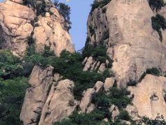 -大岭沟猕猴桃谷风景区