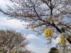-尚湖风景区