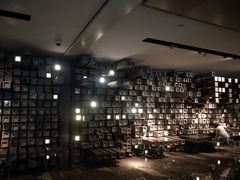 -武商摩尔影城(国广IMAX激光店)