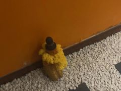 -泰谷玲抓龙筋SPA·泰式按摩(五一广场店)