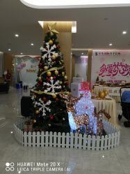 -宝生月子中心·独栋独院式(南山店)