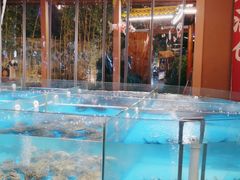 水产区-耕渔小院·湖南鱼鲜(望城店)