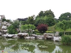 IMG_0106-梅园