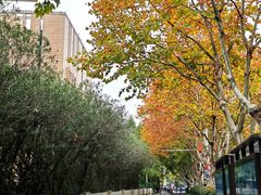 -江苏省美术馆(长江路新馆)