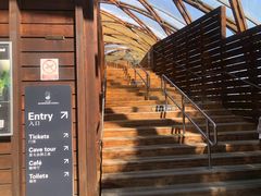 -怀托摩萤火虫洞