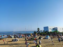 -碧海金沙