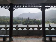-深圳仙湖植物园