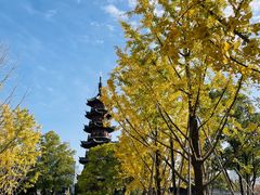 -龙华素斋(龙华路店)