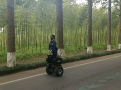 -黄海国家森林公园