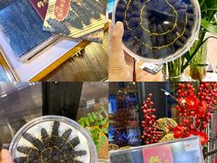 -棒棰岛辽参(长宁旗舰店)