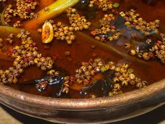 川南麻麻蛙-向川南·水煮鱼·川菜(和平里店)
