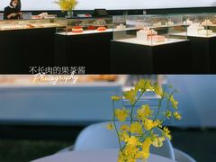 -BLACKSWAN黑天鹅(环球店)