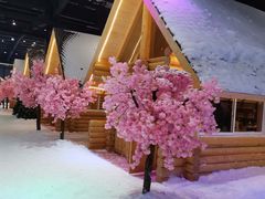 -宁波冰雪大世界(北仑区)