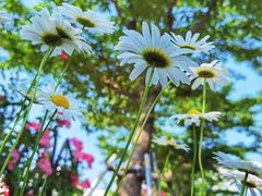 -永乐路-路侧停车场