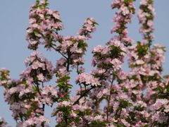 -莲池书院博物馆