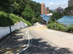 -香港大学