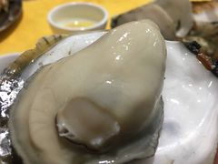 生蚝-蚝专家(北滘店)
