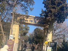 -青岛德国总督楼旧址博物馆