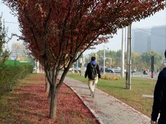 -白老大羊杂碎稍麦