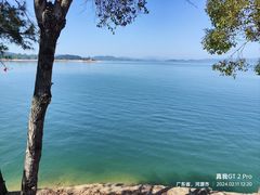 -河源万绿湖美思威尔顿酒店