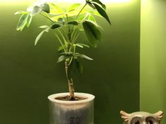 -小西家作•精致蛋糕(富力爱丁堡店)