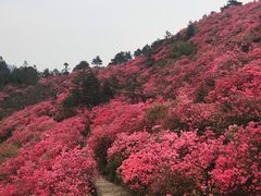 -木兰云雾山