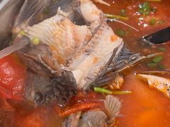 -风鑫铃罗非鱼(道沟店)