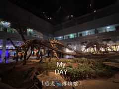 -自贡恐龙博物馆