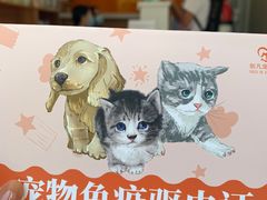 -创凡宠物医院·骨专科  猫科中心(西乡分院)