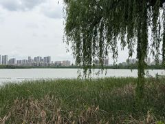 -金银湖国家城市湿地公园
