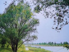 -野鸭湖国家湿地公园