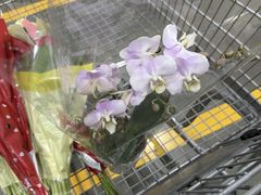 -山姆会员商店(杨桥西路店)