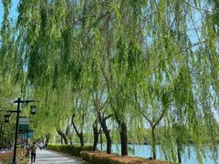 -西安汉城湖景区