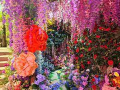 -正佳雨林生态植物园