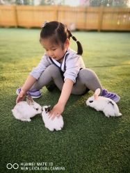 -萌宠亲子动物乐园(槐房万达店)