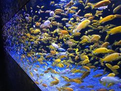 -成都浩海立方海洋公园