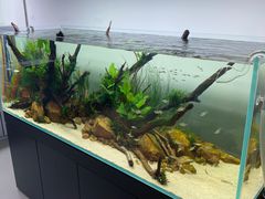 -ADA自然水景世界