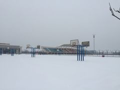 -南开大学滨海学院